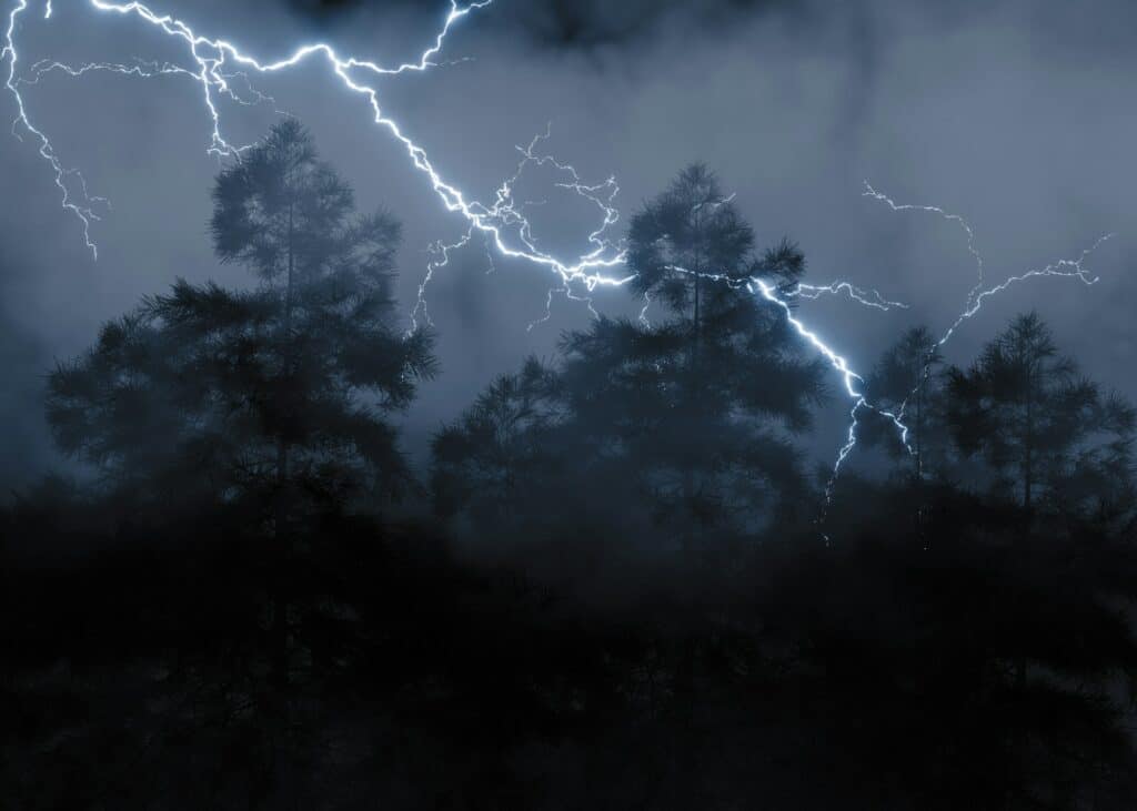storm damage