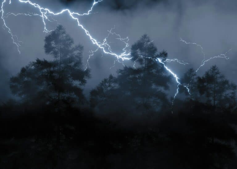 storm damage
