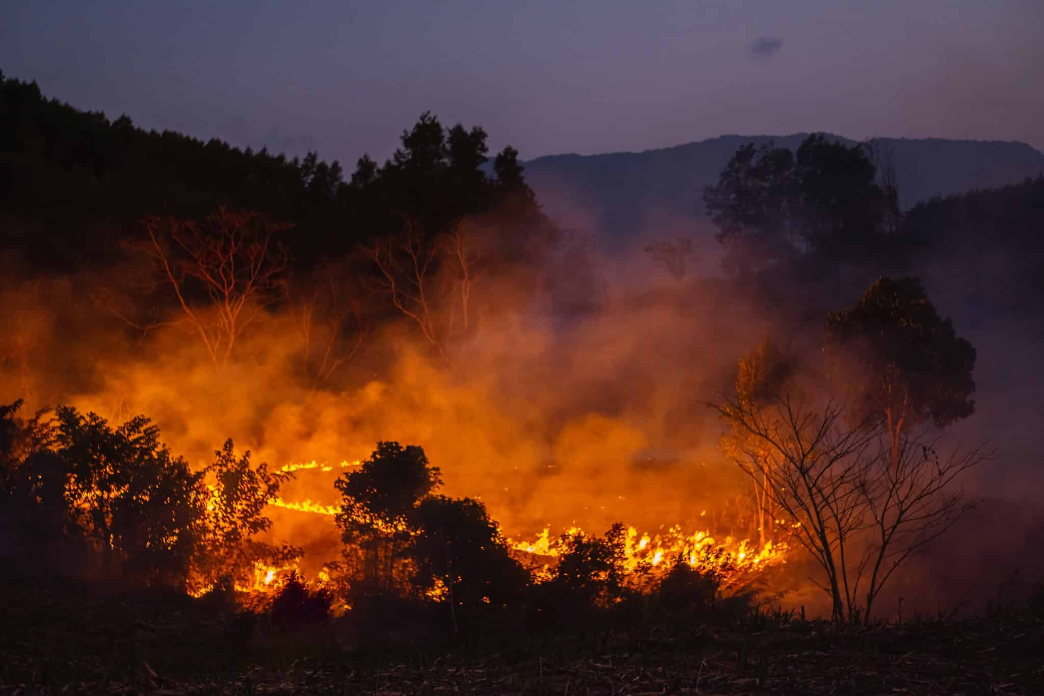 https://mwswaste.plexamedia.com/wp-content/uploads/2026/04/forest-fire-at-nighttime-2026-03-16-22-23-33-utc-scaled.jpg