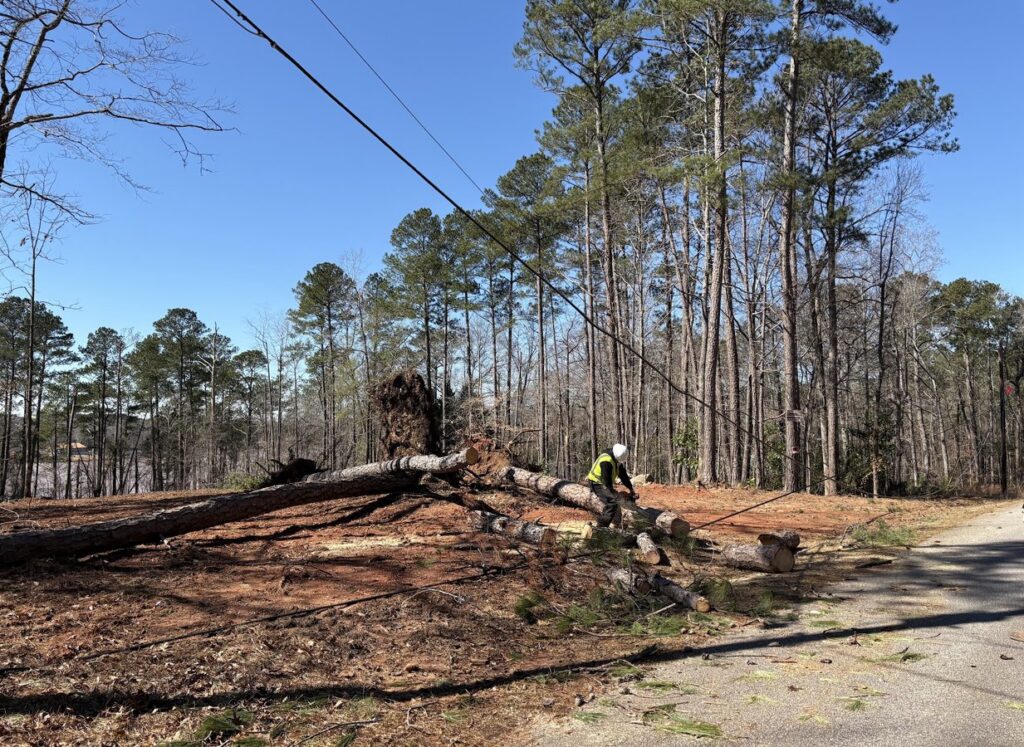 Crew member in a safety vest clearing a downed tree beneath power lines after a storm
